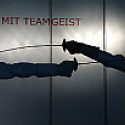 Teammediation Teamcoaching