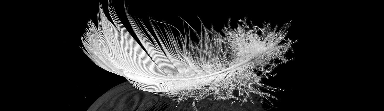 Business Coaching für Klarheit & Selbstwirksamkeit | PerspektivWerkstatt