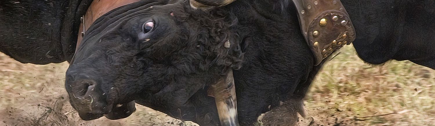 Hintergrundwissen Konflikte. Konfliktlösungsstrategien