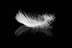 Konfliktmanagementsystem